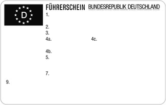 Amtliches leeres Muster der Führerschein-Vorderseite: Feld 5 steht unter Feld 4b; Feld 9 liegt weiter unten.